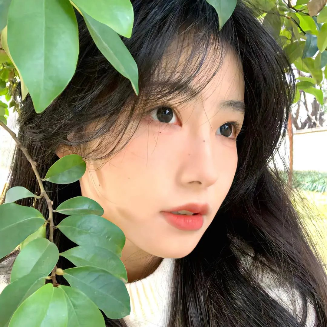 真我无缰